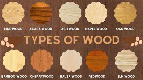 SelectingWoodTypesforaCozyAtmosphere
