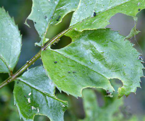 PreventingDamagefromMoistureandPests