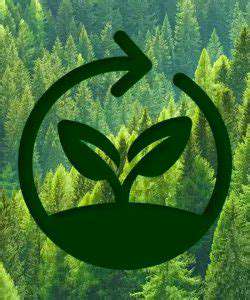 DecodingForestCertifications:YourGuidetoGreenFurniture
