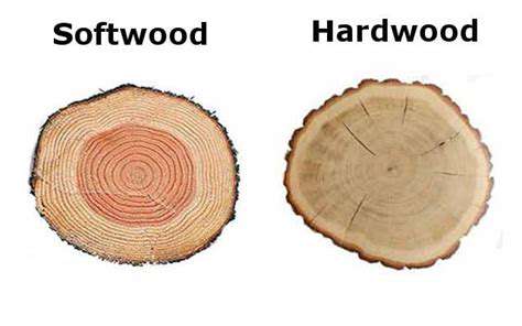 HardwoodsforExceptionalDurability
