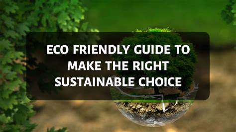 SustainabilityandtheEco-FriendlyChoice