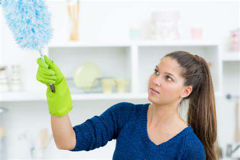 DustingandCleaningforLong-TermProtection