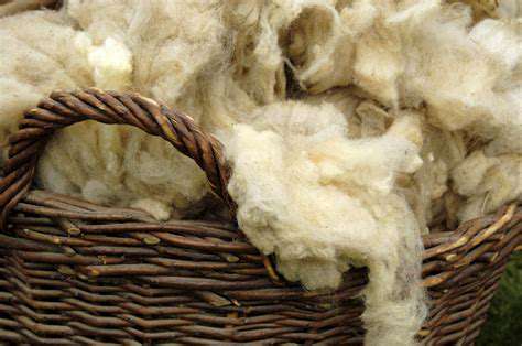 WeavingintheWarmthofWoolandWood